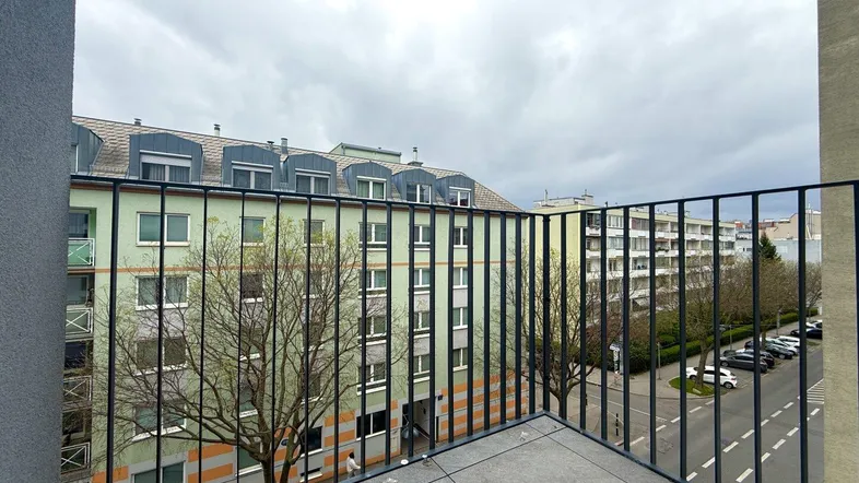 Blick vom Balkon auf die umliegenden Wohngebäude und die Straße unter einem bewölkten Himmel.