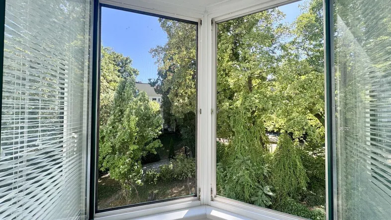 Heller Ausblick aus einem Fenster mit Blick auf grüne Bäume und einen sonnigen Himmel.