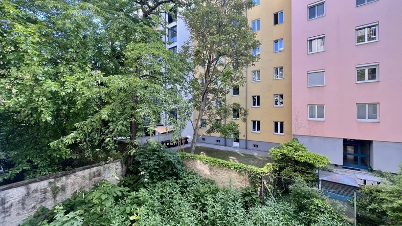 Blick auf einen grünen Innenhof mit umliegenden Wohngebäuden und viel Vegetation.