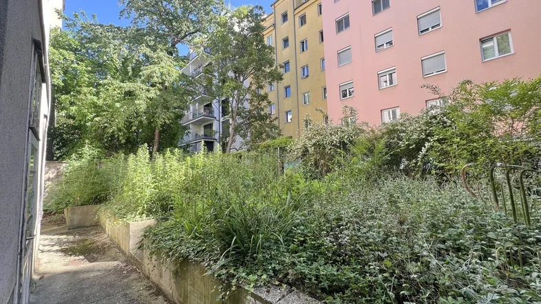 Verwilderter Gartenbereich zwischen Gebäuden mit viel Grün und altem Baumbestand.