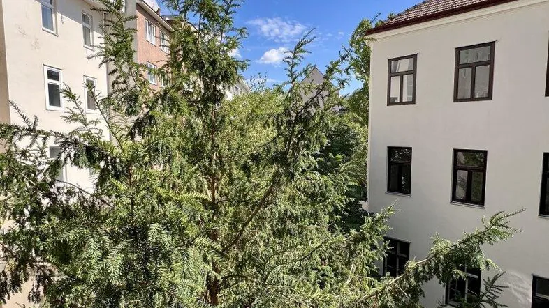 Blick auf die umliegenden Gebäude und üppiges Grün unter einem klaren blauen Himmel.