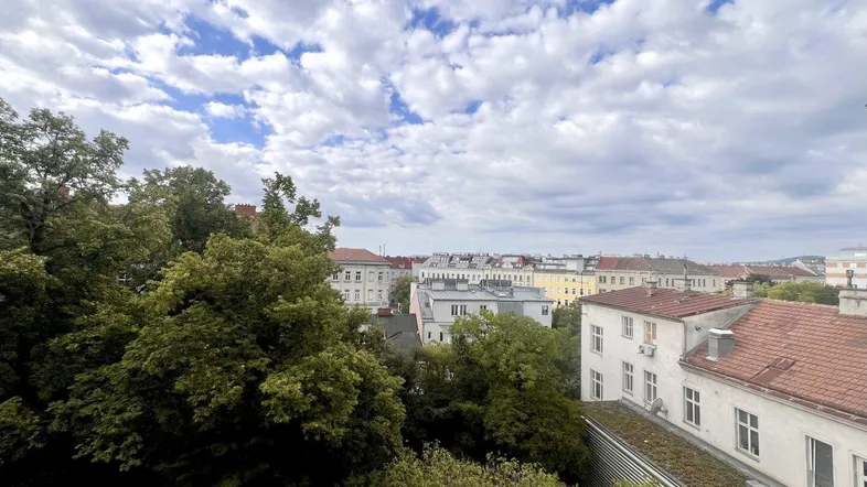 Blick über die Dächer der Stadt mit viel Grün und einem bewölkten Himmel.