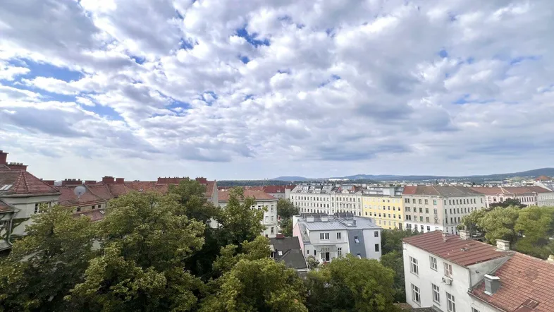 Panoramablick über die Stadt mit Dächern, Bäumen und Bergen am Horizont unter bewölktem Himmel.