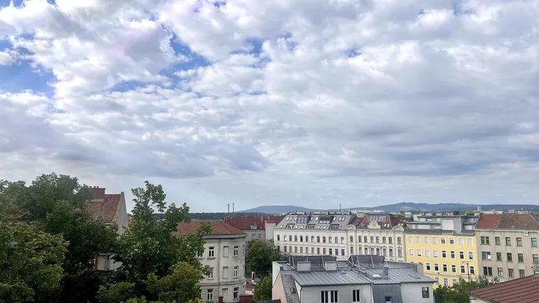 Stadtansicht mit Dächern, Gebäuden und Bäumen unter bewölktem Himmel von oben gesehen.