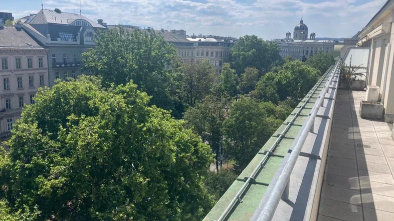 Weitläufige Dachterrasse mit Blick auf die Stadt und grüne Bäume unter blauem Himmel.