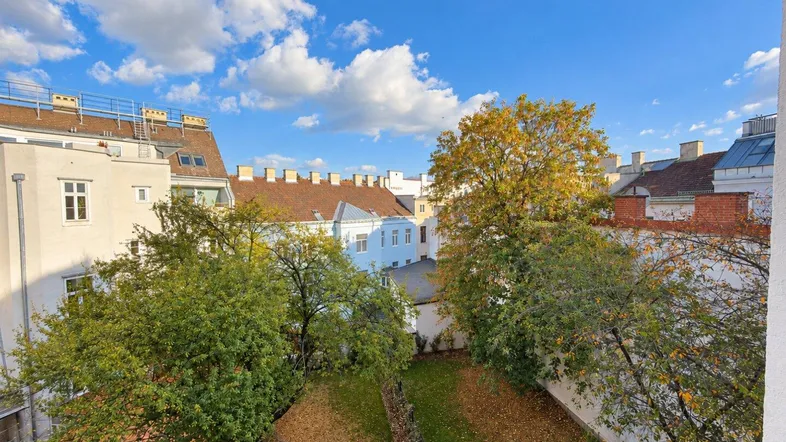 Blick auf den grünen Innenhof mit Bäumen und herbstlichem Laub unter blauem Himmel.