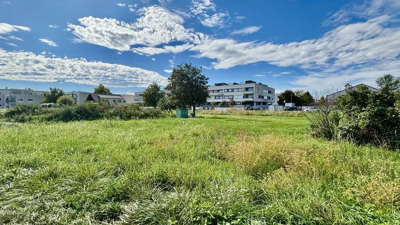 Weitläufiges grünes Grundstück mit umliegenden Gebäuden unter blauem Himmel.