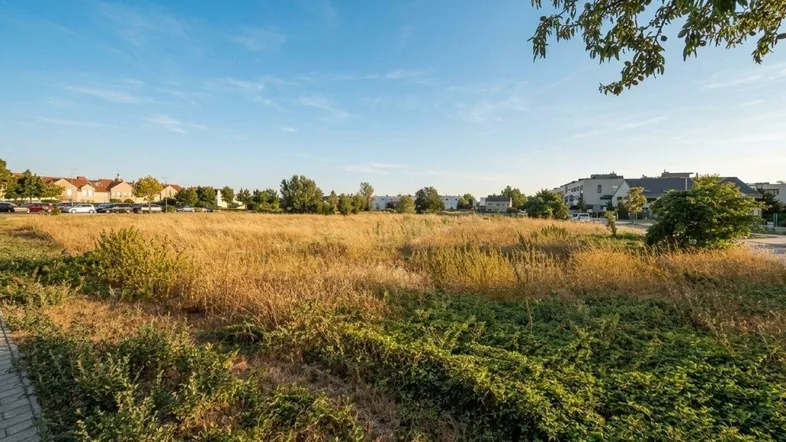 Weitläufiges unbebautes Grundstück mit trockenem Gras und grünen Büschen, umgeben von Wohnbebauung unter klarem blauem Himmel.