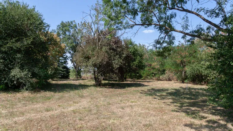 Weitläufiges Grundstück mit natürlicher Vegetation und trockenem Gras unter blauem Himmel.