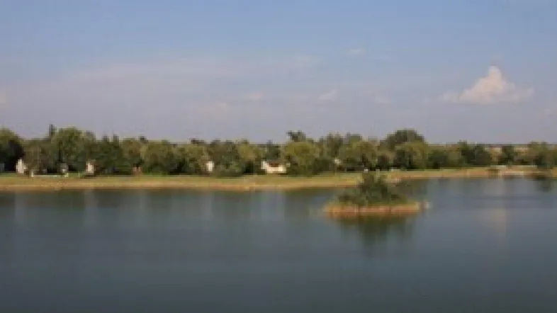 Weiter Blick über einen ruhigen See mit bewaldetem Ufer und kleinen Häusern im Hintergrund.