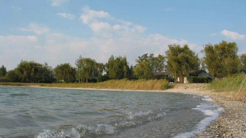 Kiesstrand am Seeufer mit sanften Wellen, Schilf und Häusern in der Ferne.