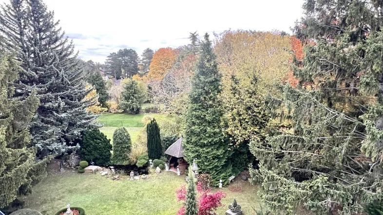 Malerischer Garten mit Teich, kleinem Pavillon und vielfältiger Bepflanzung, umgeben von Bäumen.