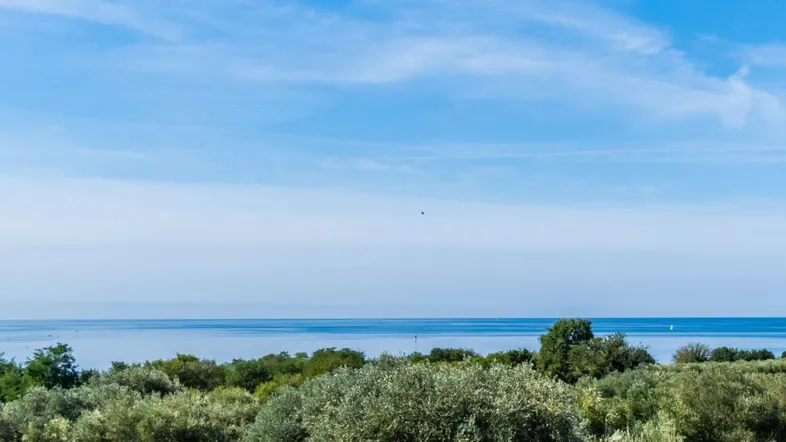 Weitläufiger Blick auf das Meer und die grüne Küstenlandschaft unter blauem Himmel.