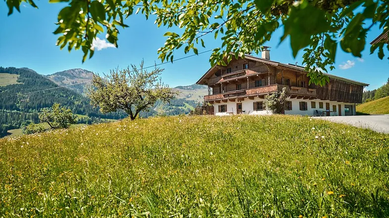 Traditionelles Holzhaus mit Balkonen und Bergblick, eingebettet in eine grüne Wiesenlandschaft unter blauem Himmel.