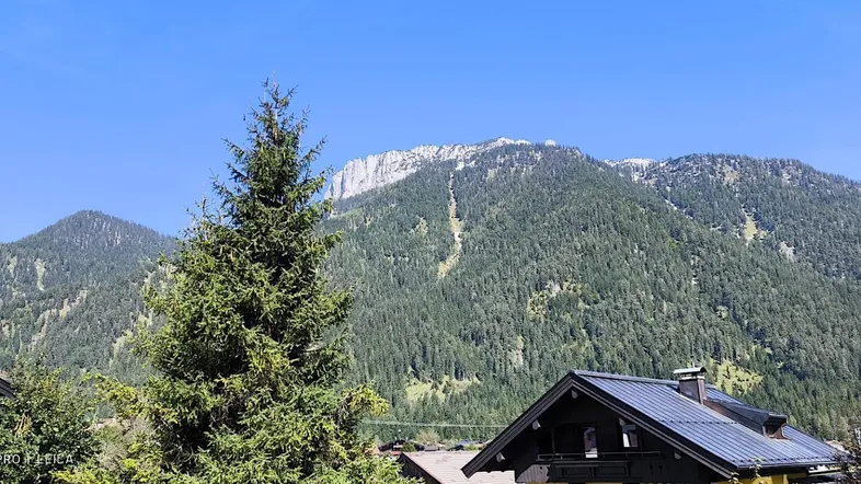 Panoramablick auf die majestätischen Berge mit dichten Wäldern und klarem blauen Himmel.