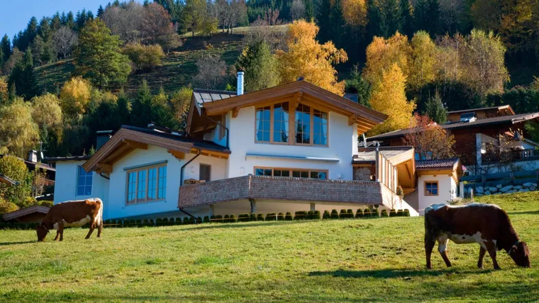 Charmantes Landhaus in den Bergen mit traditioneller Architektur und weidenden Kühen im Vordergrund.
