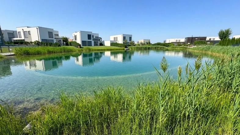 Idyllischer See mit Schilf und modernen Wohnhäusern im Hintergrund unter blauem Himmel.