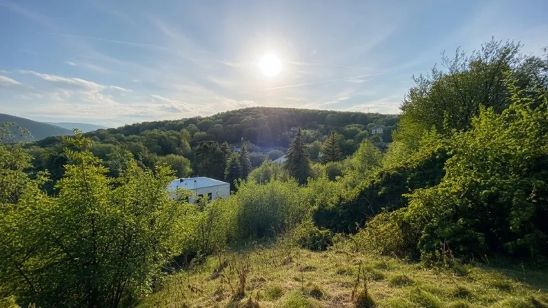 Panoramablick über eine grüne Hügellandschaft unter strahlendem Sonnenschein, mit vereinzelten Häusern in der Ferne.