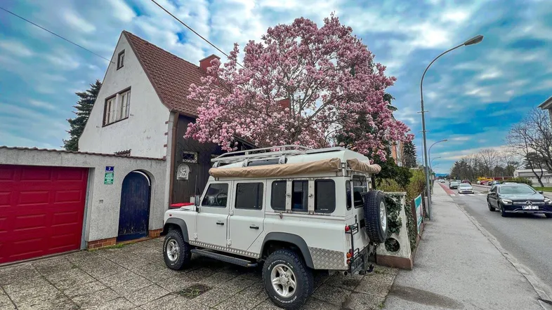 Hausfassade mit rotem Garagentor, gepflasterter Einfahrt und blühendem Magnolienbaum an einer Straße.