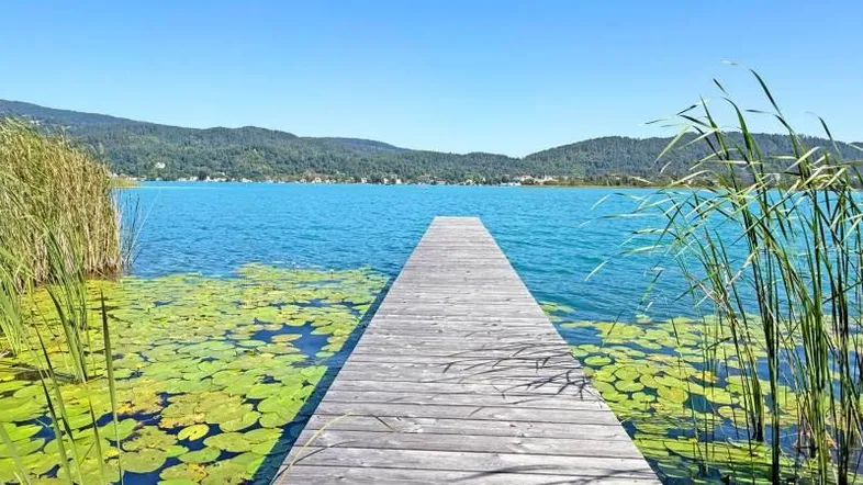 Ein langer Holzsteg führt in einen klaren blauen See, umgeben von Schilf und Seerosen mit Bergkulisse.