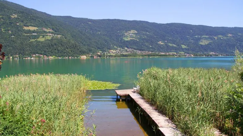 Langer Holzsteg führt durch Schilf zum klaren See, umgeben von grünen Bergen unter blauem Himmel.