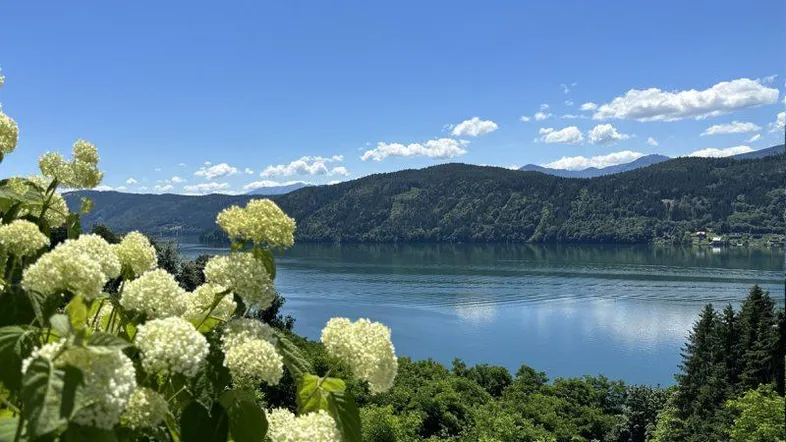 Malerischer Blick auf einen ruhigen See, umgeben von grünen Bergen unter blauem Himmel.