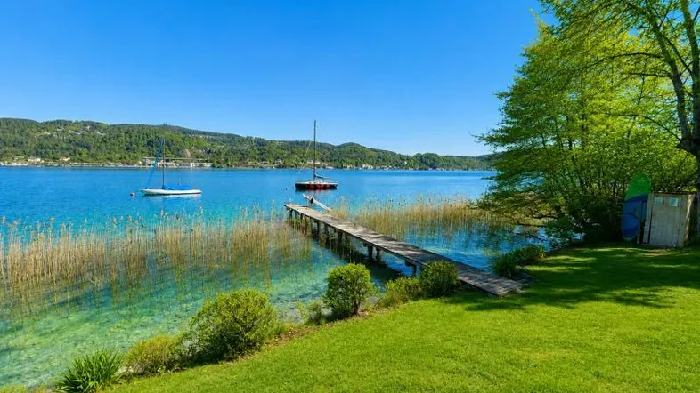 Grüner Rasen und Schilf am Ufer eines klaren Sees mit Holzsteg und Segelbooten.