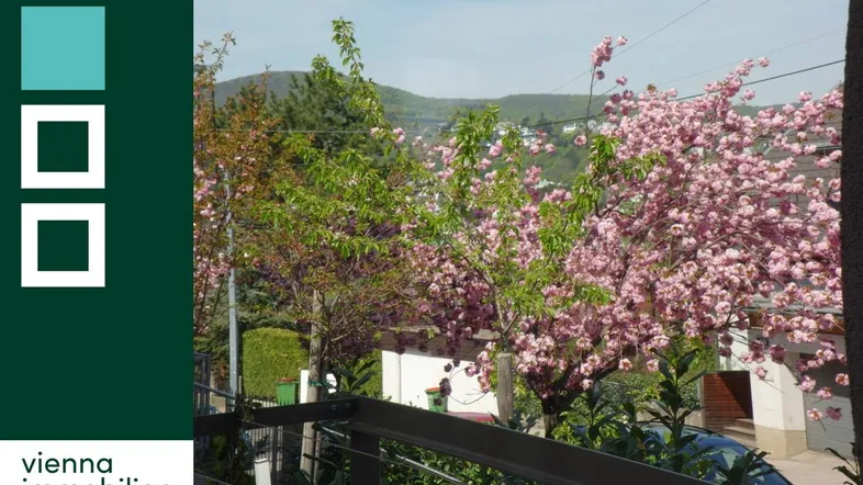 Blick vom Balkon auf blühende Bäume und grüne Hügel in der Ferne.