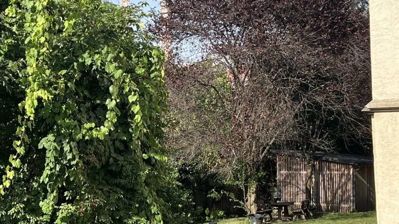 Blick ins Grüne
