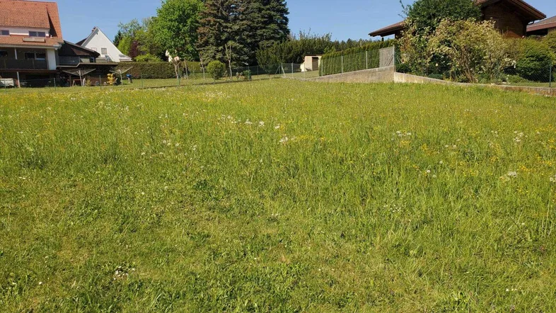 Weitläufige Grünfläche mit Wiesen und umliegenden Wohnhäusern unter blauem Himmel.