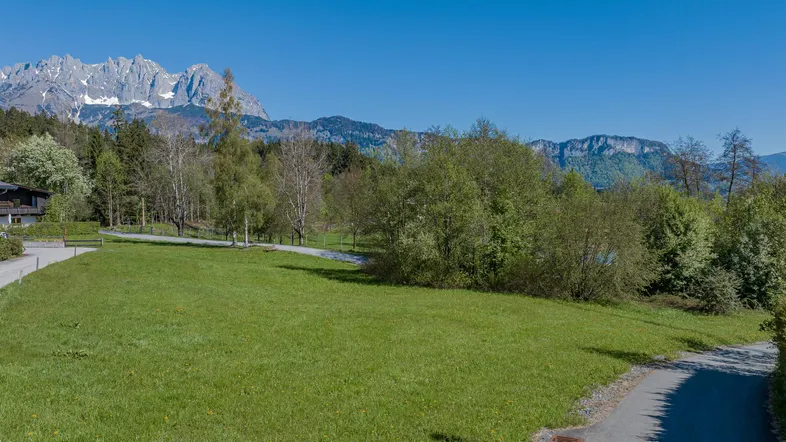 Weitläufige grüne Landschaft mit Bäumen und majestätischen schneebedeckten Bergen im Hintergrund unter blauem Himmel.