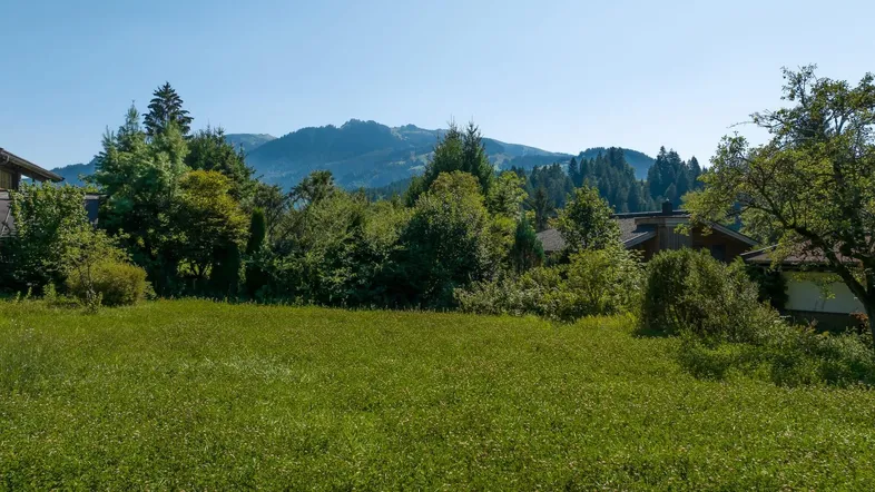 Grünes Feld mit Bäumen und Häusern im Vordergrund, dahinter eine malerische Berglandschaft unter blauem Himmel.