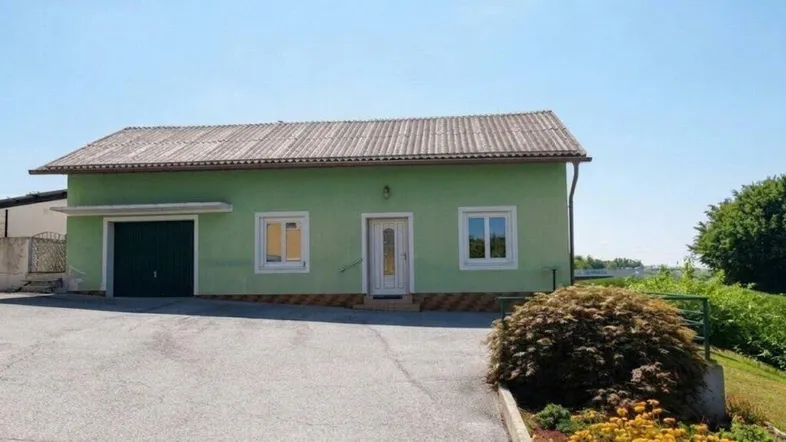 Einfamilienhaus mit grüner Fassade, Satteldach und integrierter Garage, umgeben von einem gepflegten Vorgarten.