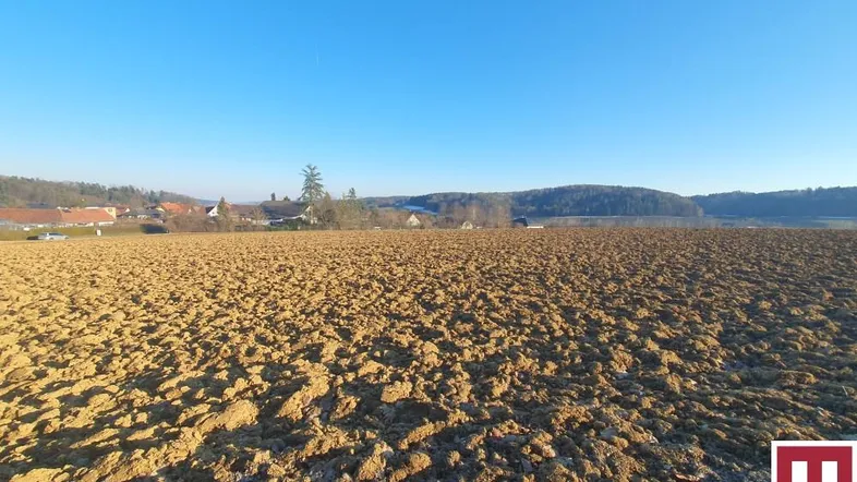 Weitläufiges, gepflügtes Feld unter strahlend blauem Himmel mit Häusern und Bäumen in der Ferne.