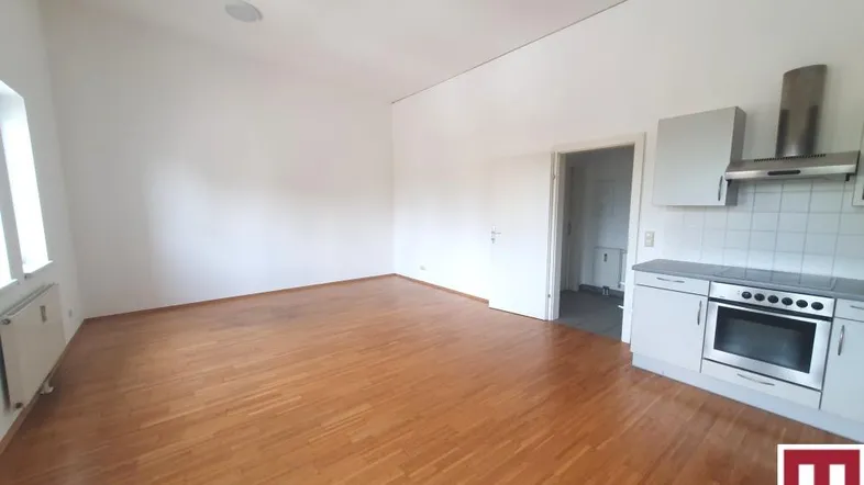 Heller offener Wohnbereich mit Parkettboden und integrierter Küchenzeile, ideal für modernes Wohnen.