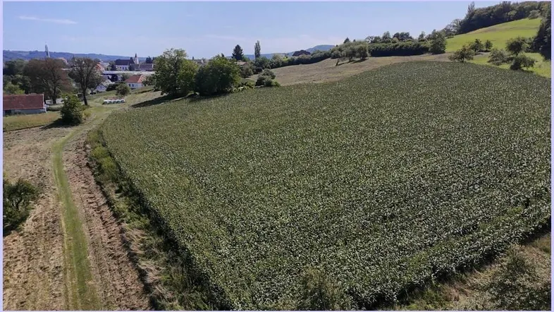 Luftaufnahme eines großen Feldes mit angrenzenden Häusern und einem Dorf in der Ferne.