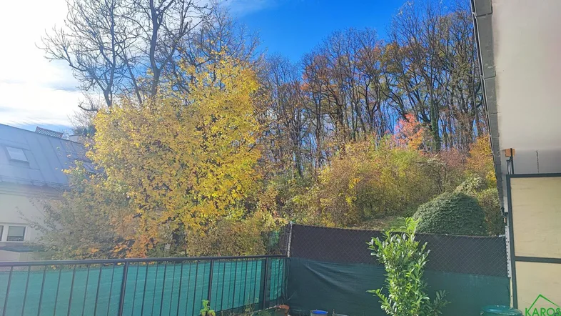 Sonniger Gartenbereich mit Blick auf herbstliche Bäume und eine grüne Landschaft.