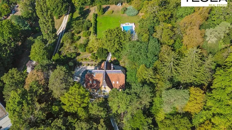Luftaufnahme der weitläufigen Liegenschaft mit Villa, Pool und üppigem Baumbestand.