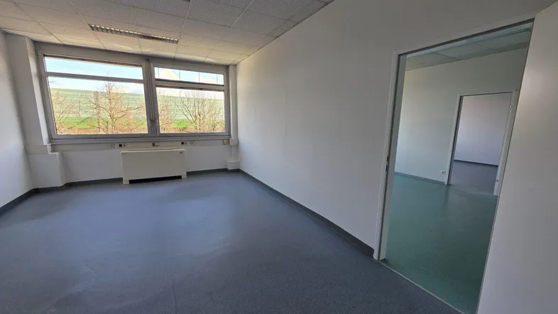 Helles, leeres Büro mit großen Fenstern und Blick ins Grüne, ausgestattet mit einem Gitterdecken-System.