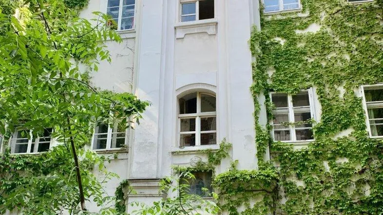 Historische Fassade eines Gebäudes, üppig bewachsen mit Efeu, im Innenhof gelegen und von Bäumen umgeben.