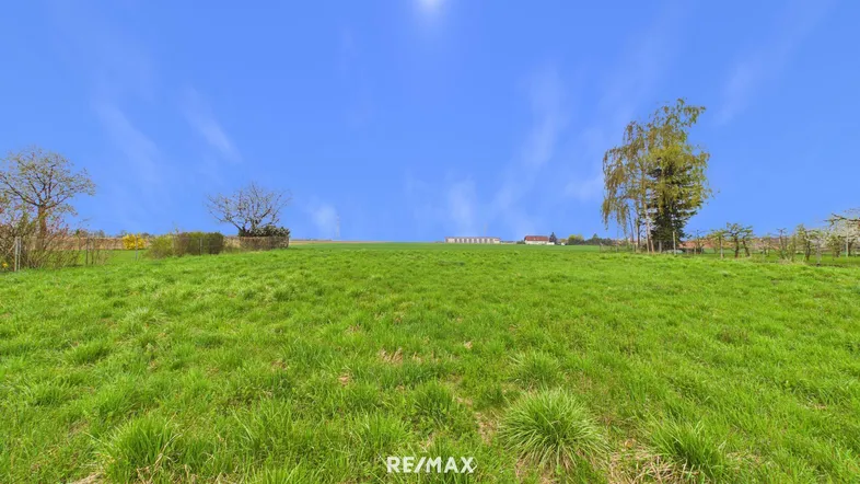 Grünes Feld unter blauem Himmel mit vereinzelten Bäumen und Häusern in der Ferne.