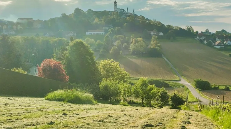 Malerische Landschaft mit sanften Hügeln, Feldern und einem Dorf mit Kirche im Hintergrund bei Sonnenaufgang.