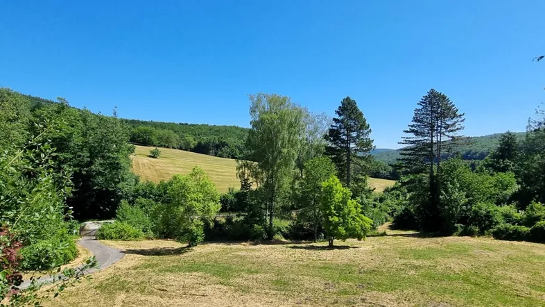 Weitläufige grüne Landschaft mit sanften Hügeln und Bäumen unter klarem blauem Himmel.