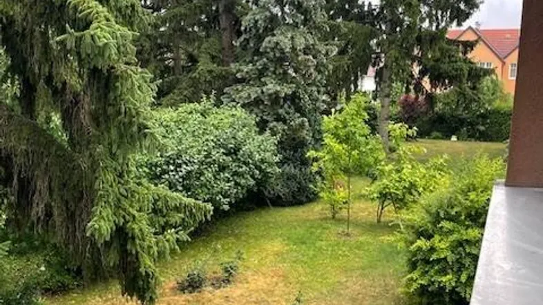 Blick von einem Balkon oder Fenster auf einen üppigen grünen Garten mit hohen Bäumen und Sträuchern.