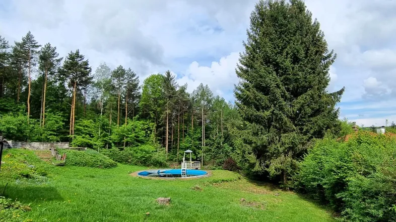 Großer Gartenbereich mit Rasenfläche, Bäumen und einem eingelassenen Pool, umgeben von viel Grün.