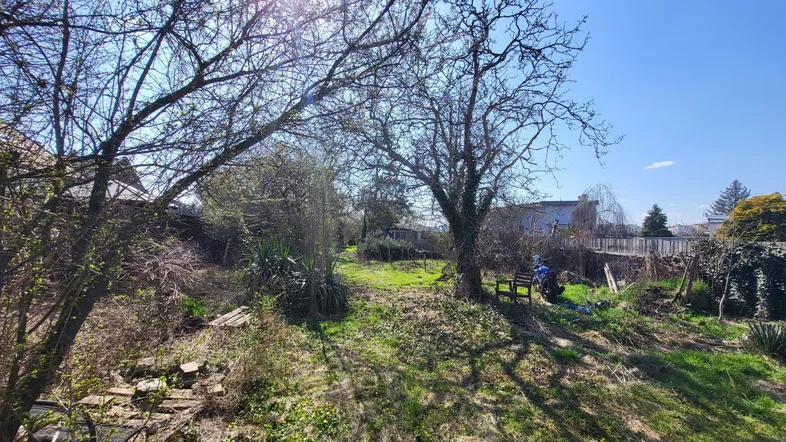 Sonniger, naturbelassener Gartenbereich mit Bäumen und viel Grünfläche, ideal zur Gestaltung.