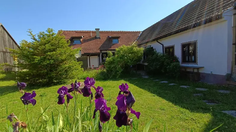 Ein sonniger Garten mit lila Schwertlilien und Blick auf das traditionelle Landhaus.