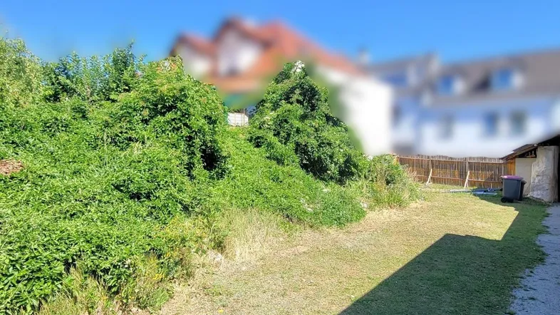 Überwachsener Gartenbereich mit Rasenfläche und unscharfem Hintergrundgebäude unter blauem Himmel.