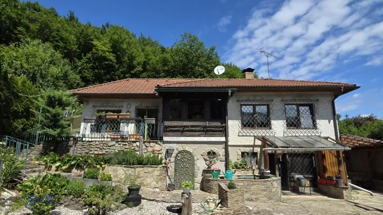 Hausfassade mit Gartenanlage und Terrassenbereich vor bewaldetem Hügel unter blauem Himmel.
