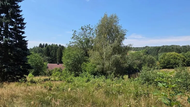 Ländliche Landschaft mit weiten Feldern, Bäumen und einem Haus in der Ferne unter blauem Himmel.